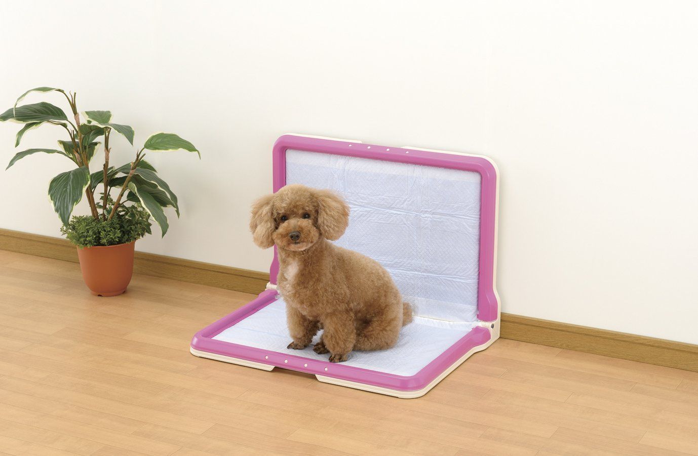 L型トレー しつけ用ステップ