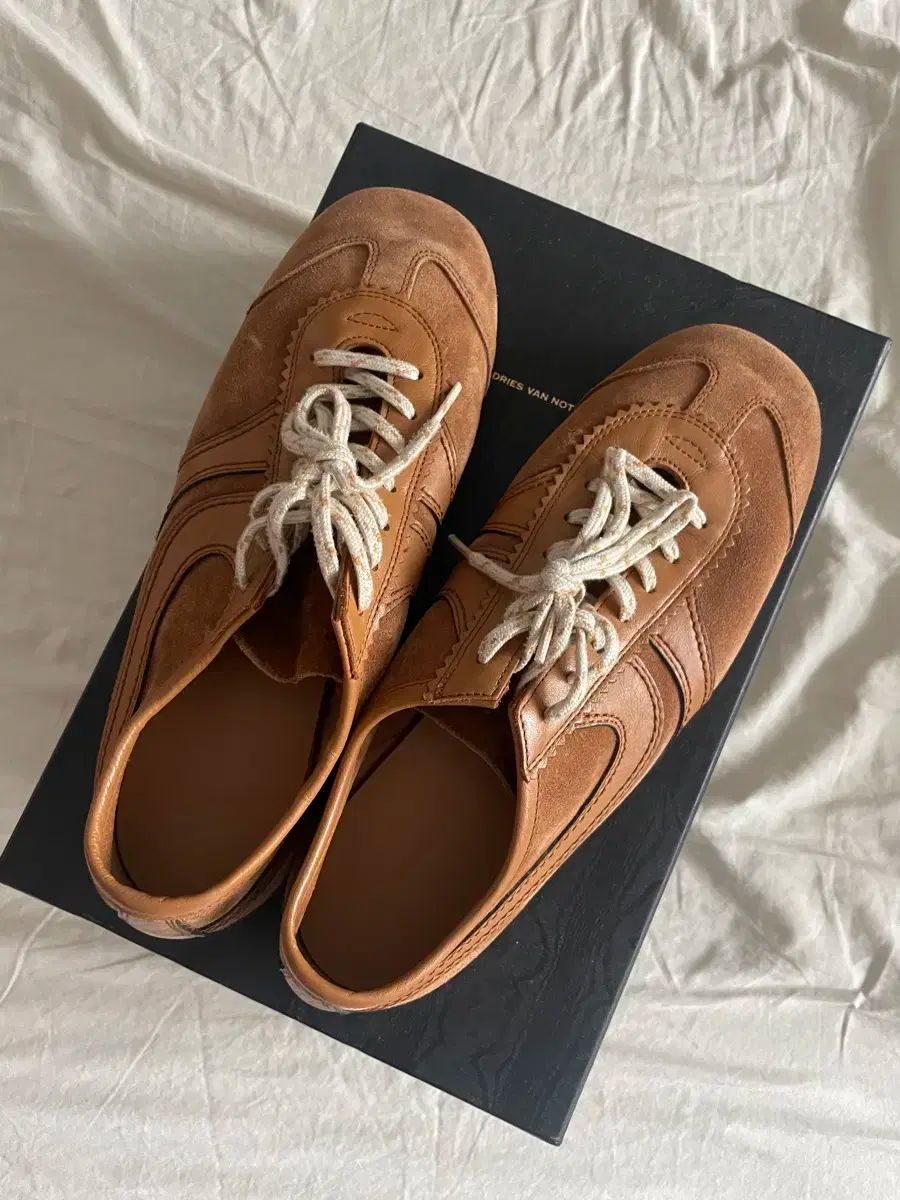 DRIES VAN NOTEN ダークブラウン スエード スニーカー24 Low Top Sneaker | DRIES VAN NOTEN | elysewalker
