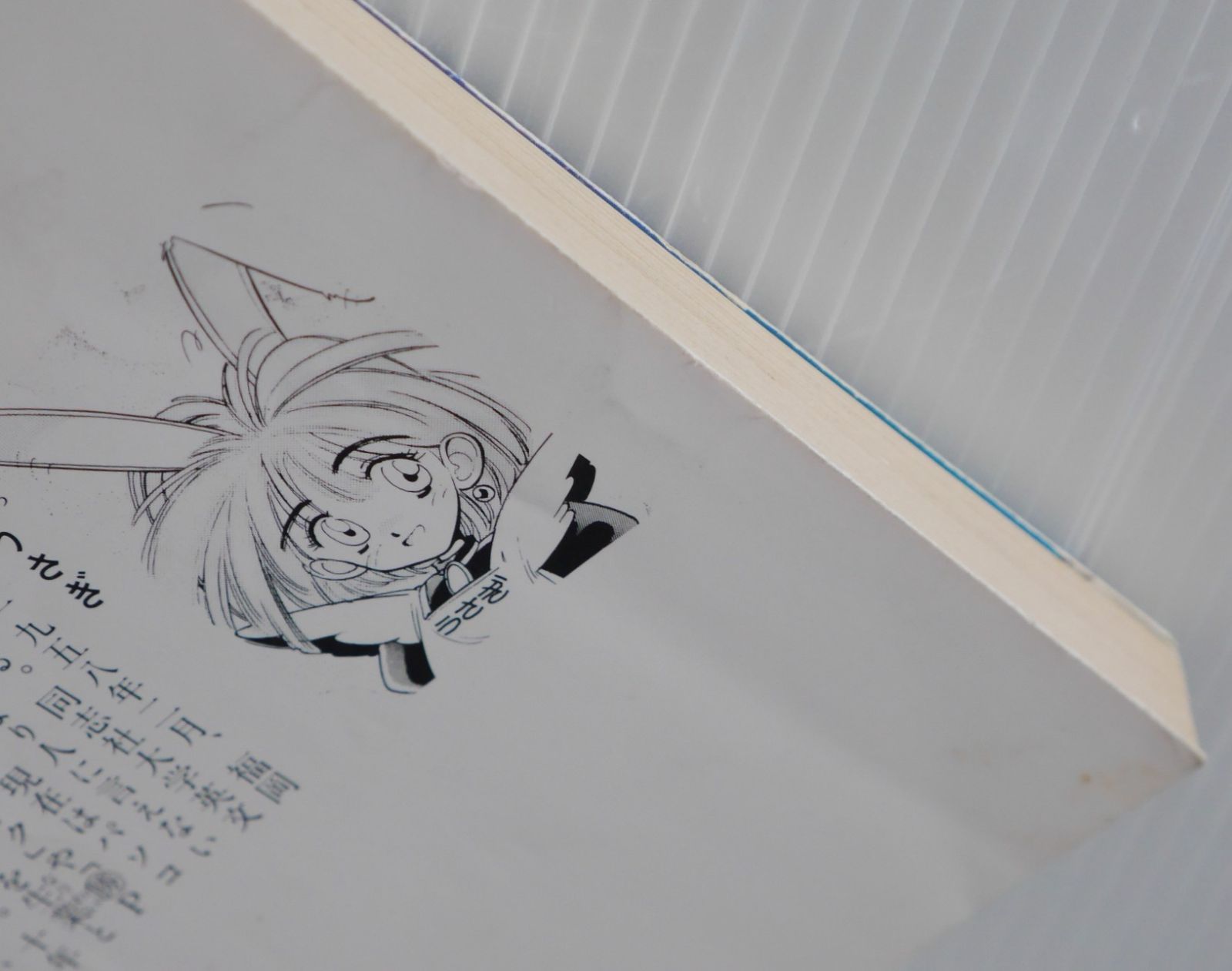 絶版 道くん漫遊記