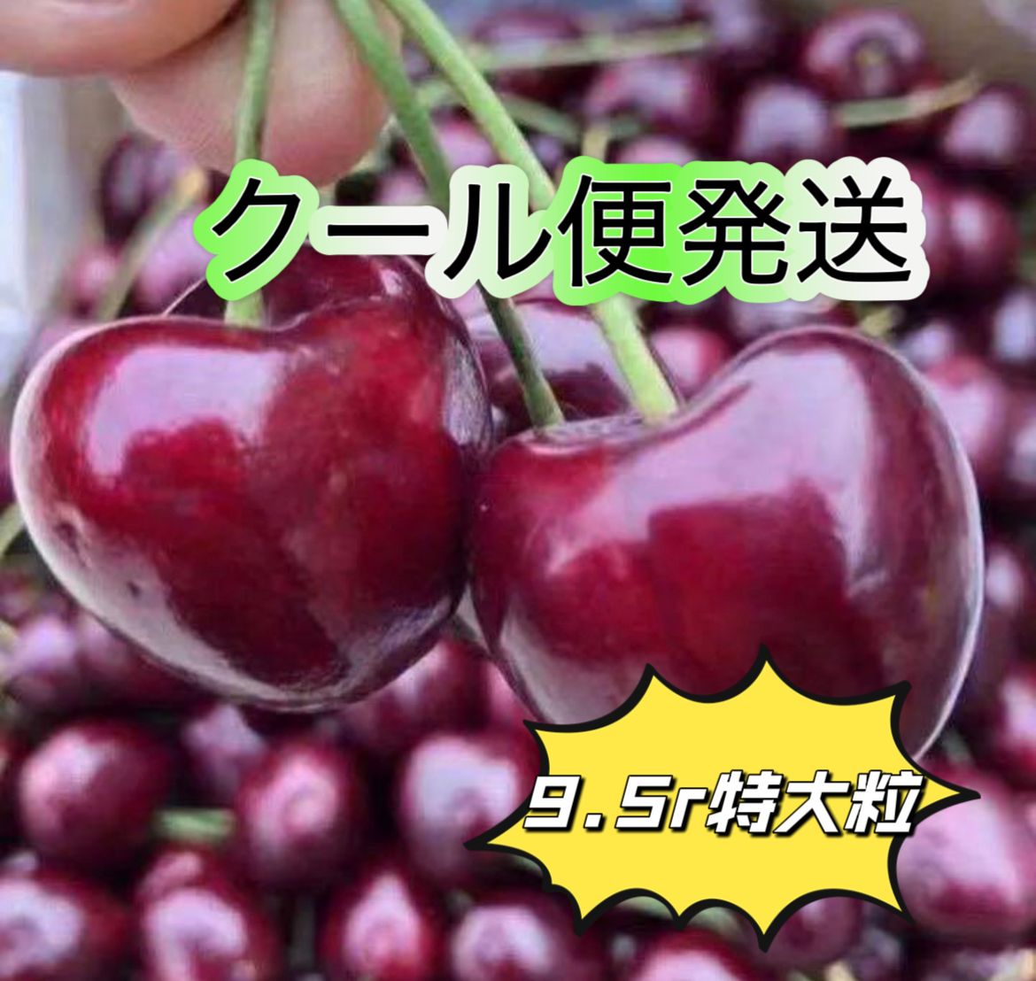 激安‼️全国一律料金‼️クール便‼️沖縄 離島の方も是非‼️9.5r 箱込み 