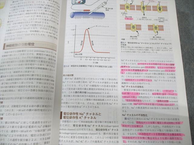ELSEVIER ガイトン生理学 原著第13版 2018 045M3D ガイトン生理学 原著第13版 | John E. Hall, 石川義弘, 岡村康司