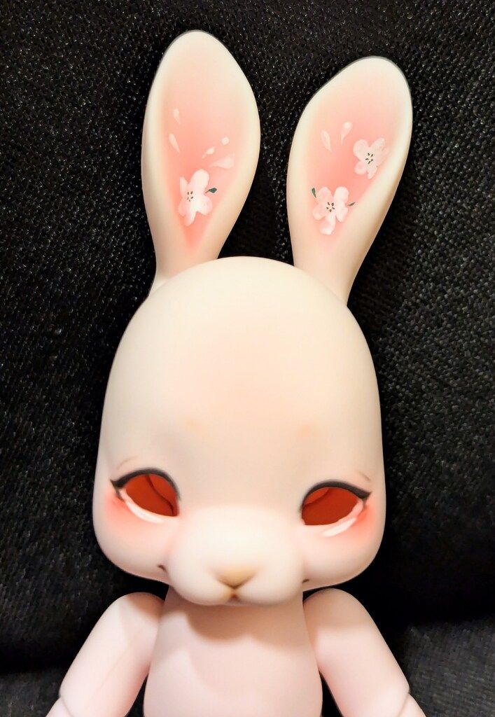 日常 DOLK×cocoriang COCO S PET Tobi SAKURA Limited