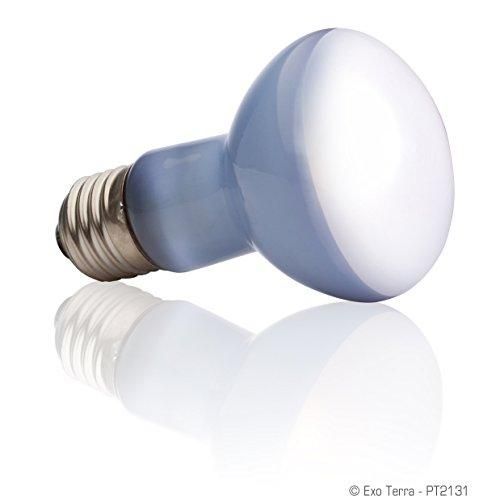 GEX EXOTERRA サングロー バスキングスポットランプ 50W PT2131 昼用集光型 砂漠 熱帯環境テラリウム用 広域スペクトル昼用