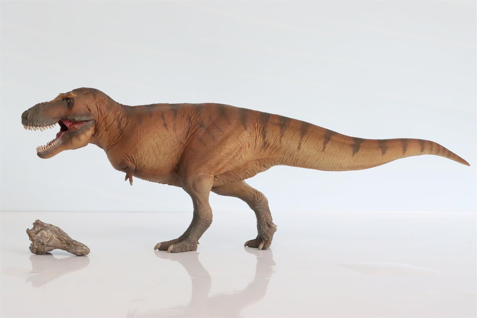 PNSO 恐竜博物館 1/35 サイズ ティラノサウルス T-REX フィギュア 