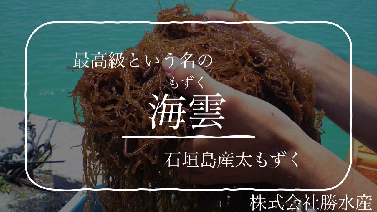 石垣島産もずく【味付けもずく250g×5お試しセット‼️】-7