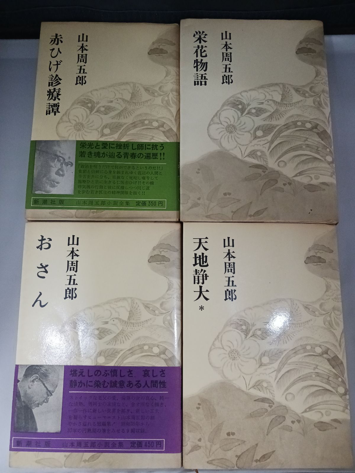 赤ひげ診療譚