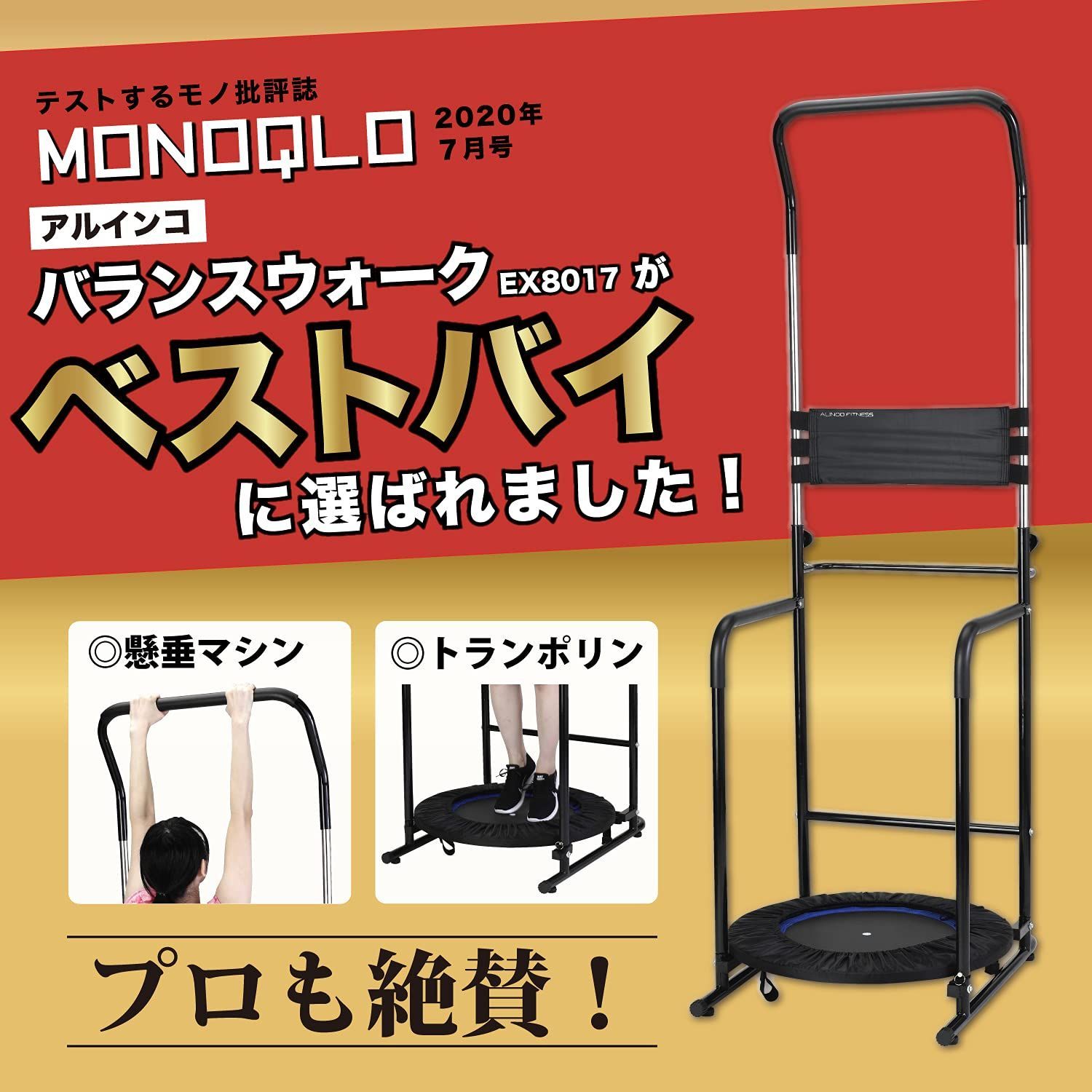 懸垂バー 大胸筋 腹筋 背筋 筋肉トレーニング 器具 懸垂 懸垂マシン ぶら下がり健康器 アルインコ ALINCO