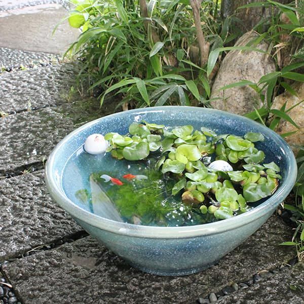 信楽焼 陶器 水鉢 メダカ鉢 金魚鉢 睡蓮鉢 16号ブルーガラス水鉢 su