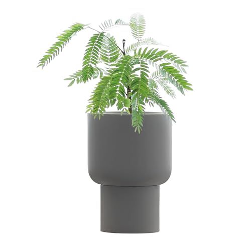 み*ん様 レア！ボカサナモンスト 自根 鉢植え メルカリ便送料込み み*ん様 レア！ボカサナモンスト 自根 鉢植え メルカリ便送料