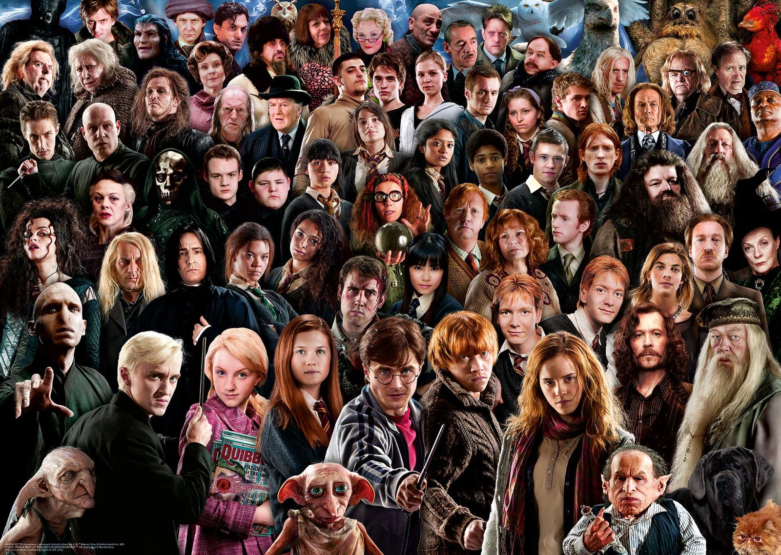 Harry Potter Challenge Puzzle 1000 Teile 