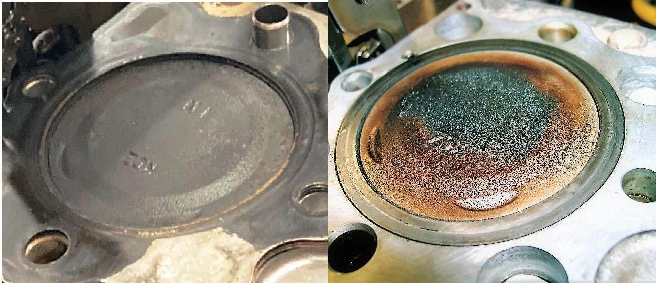 MD22 ダイレクト