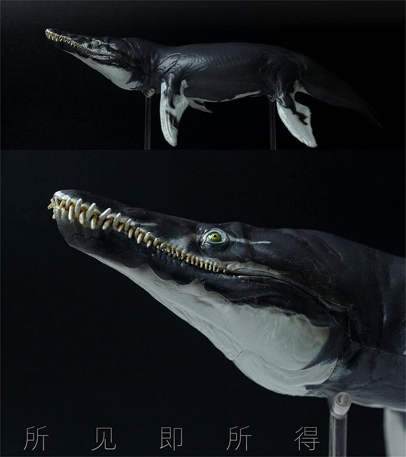 PNSO 1/35 サイズ クロノサウルス 海洋博物館 海生爬虫類 恐竜
