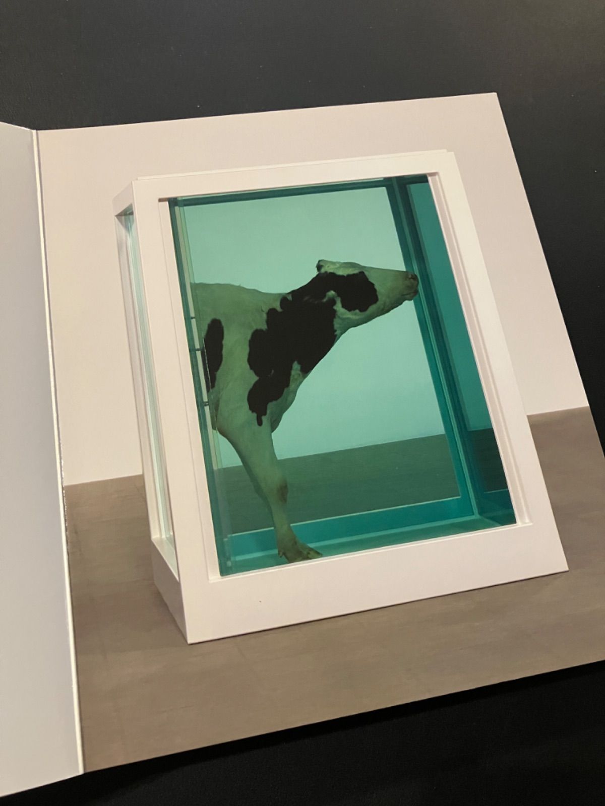 ダミアン・ハースト 図録 作品集 ABC Damien Hirst - メルカリ