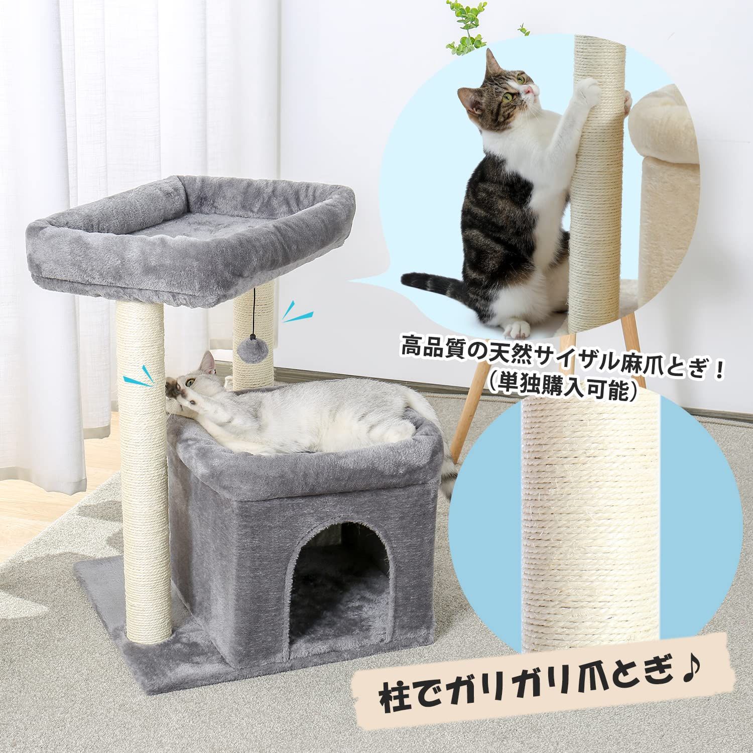 多頭飼い シニア猫