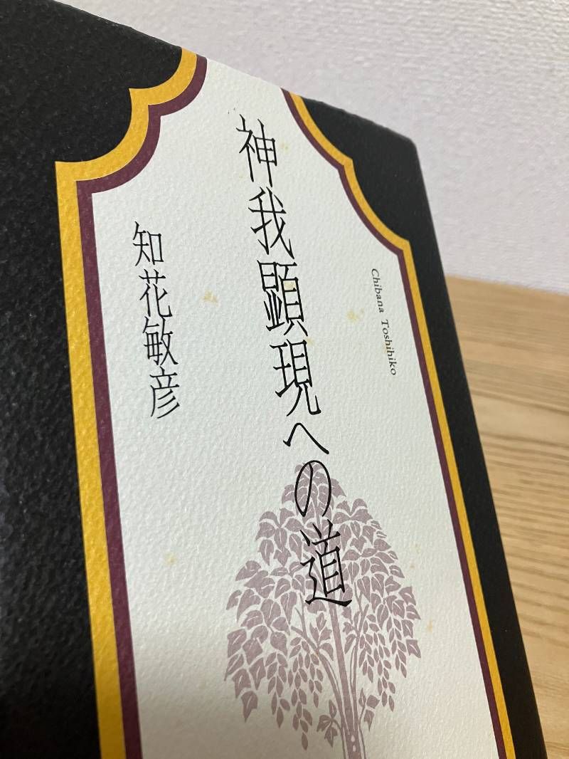 神我顕現への道 改訂版/北都（豊島区）/知花敏彦 神我顕現