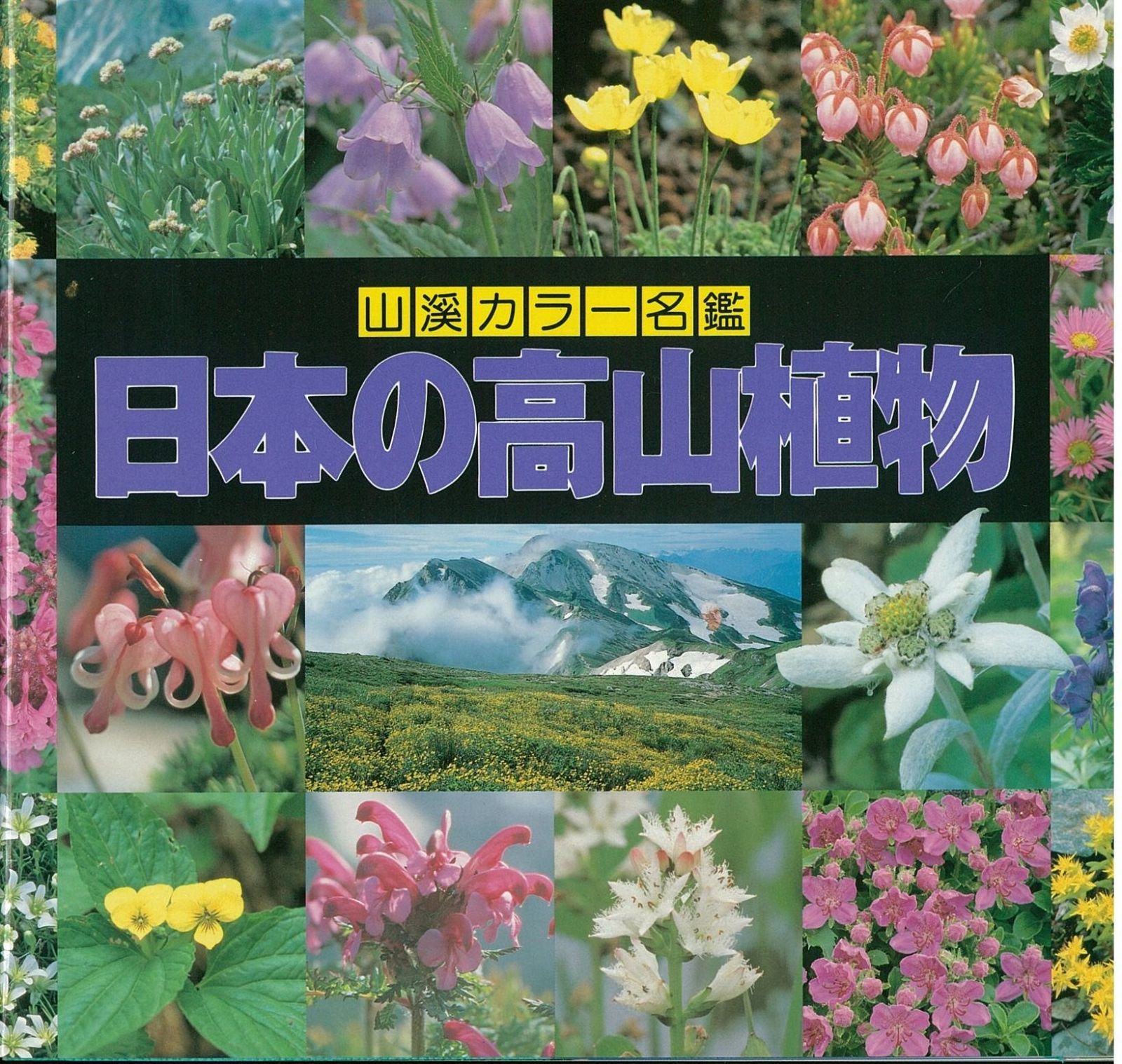 山渓カラー名鑑 ３冊セット きのこ、高山植物、野草 日本の高山植物 (山渓カラー名鑑) (山溪カラー名鑑) - メルカリ