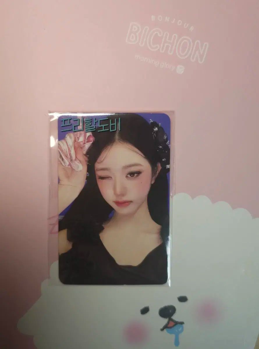IVE ウォニョン xoxz サノク 事前収録 1週目 限定 トレカ 韓国 IVE XOXZ サノク 事前収録 1週目 ユジン トレカ - メルカリ