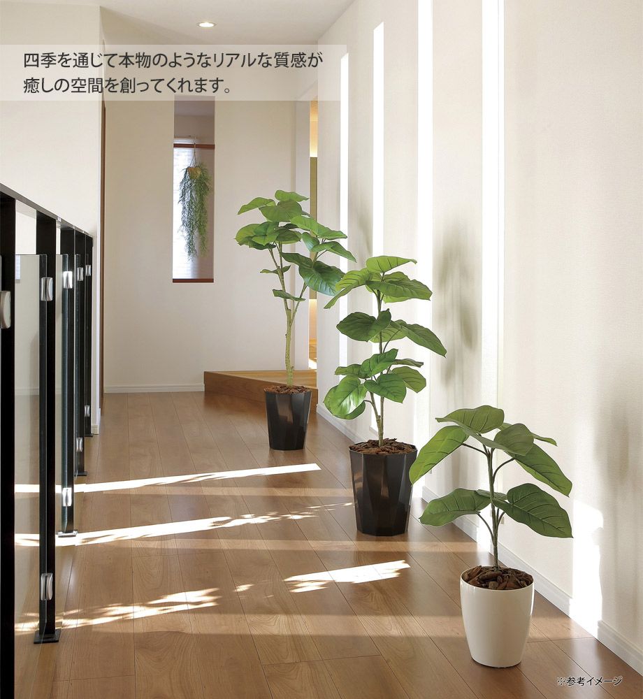 光触媒観葉植物 ウンベラータ60 〔フロアタイプ〕 インテリア フェイク