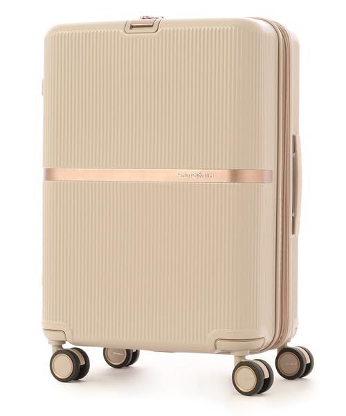 希少】CRASH BAGGAGE キャリーケース Sサイズ（40リットル) CRASH