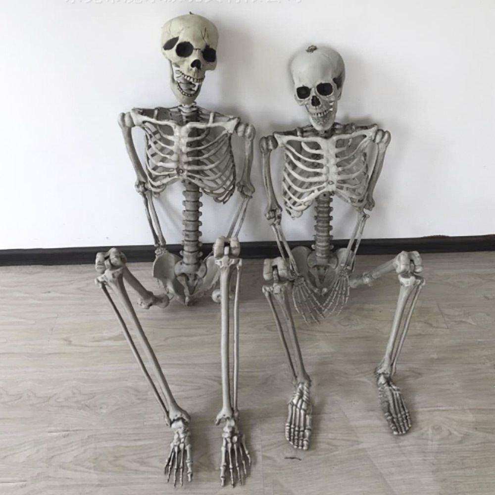 ハロウィン 人体骨格模型 1体 骸骨 ガイコツ 骨 等身大 置物 約165cm