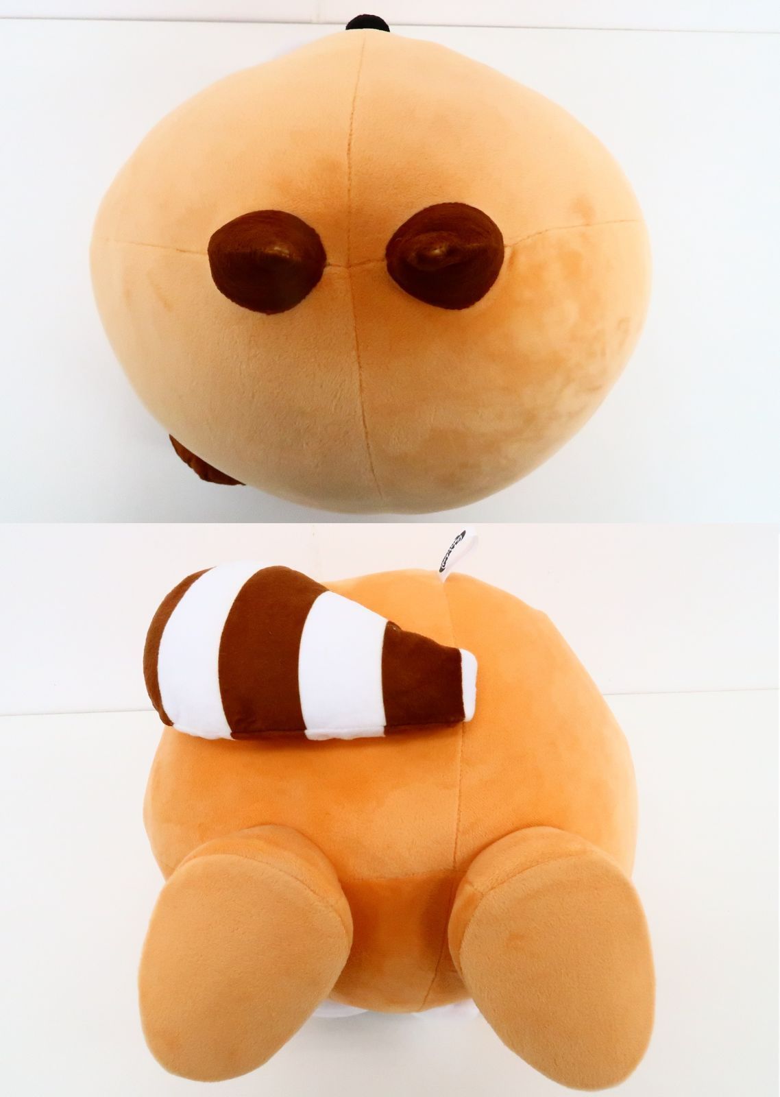 32枚限定】MonsterZ MATE 1st Anniversary Live 俺らがやらねば誰が