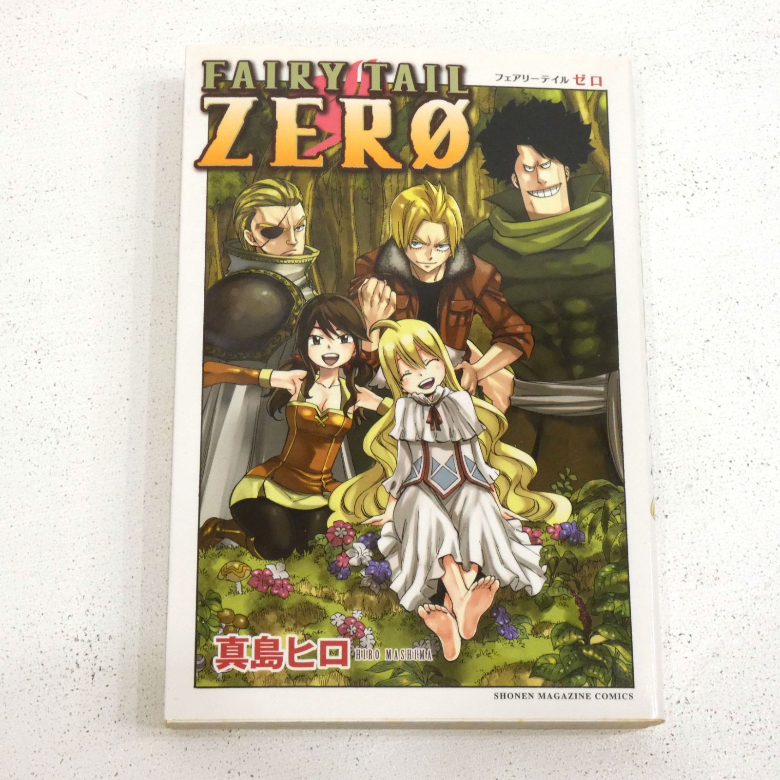小牧店】FAIRY TAIL フェアリーテイル 全63巻 + FAIRY TAIL ZERO お