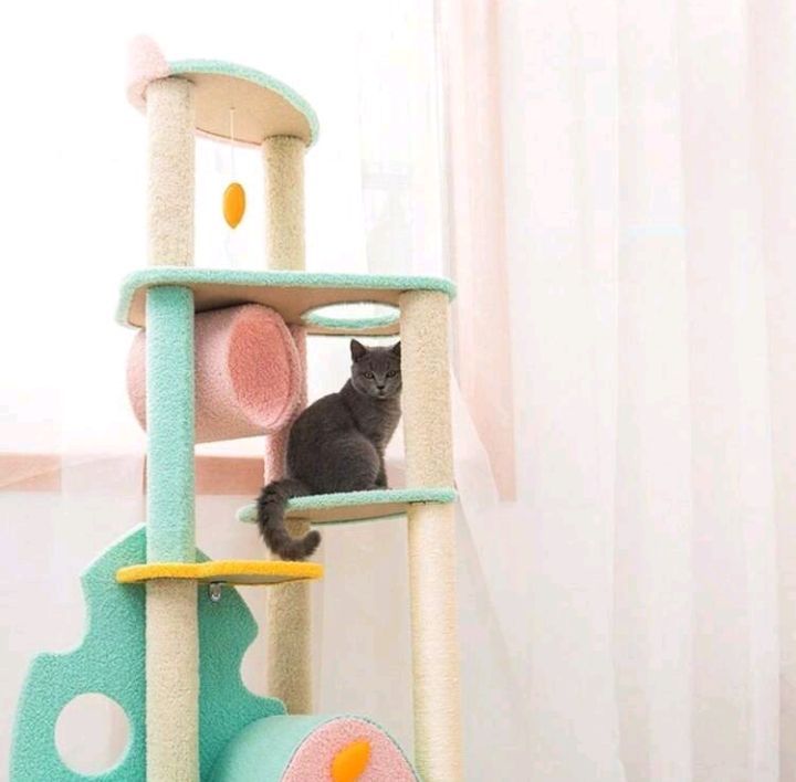 大型の猫活動タワー
