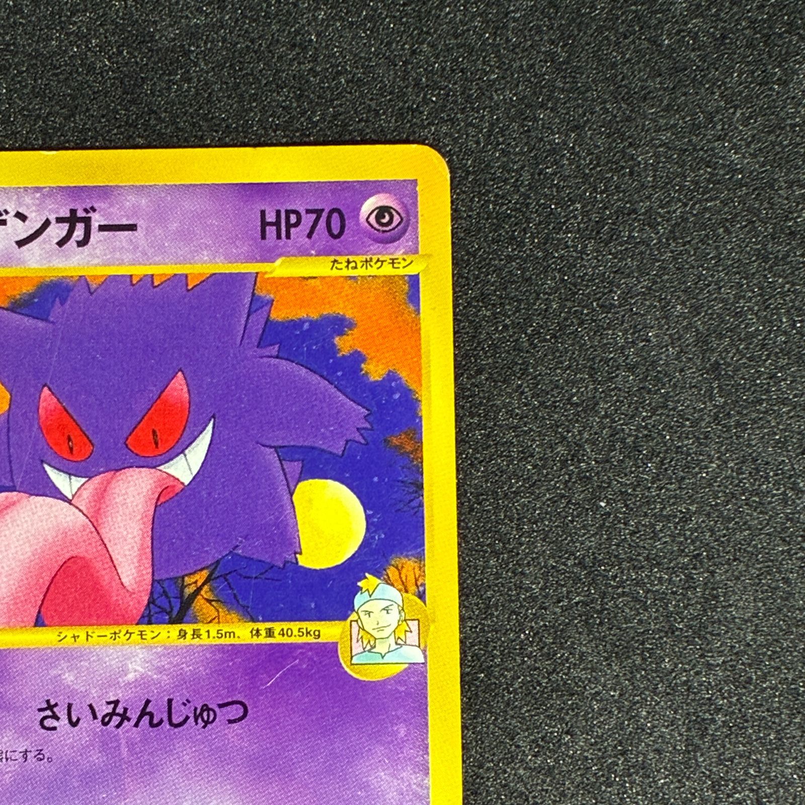 ポケモンカード マツバのゲンガー vs e マツバのゲンガー VS e