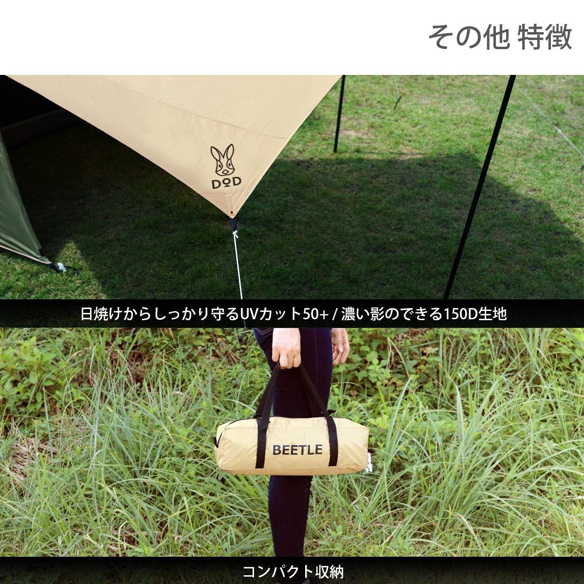ビートルタープ