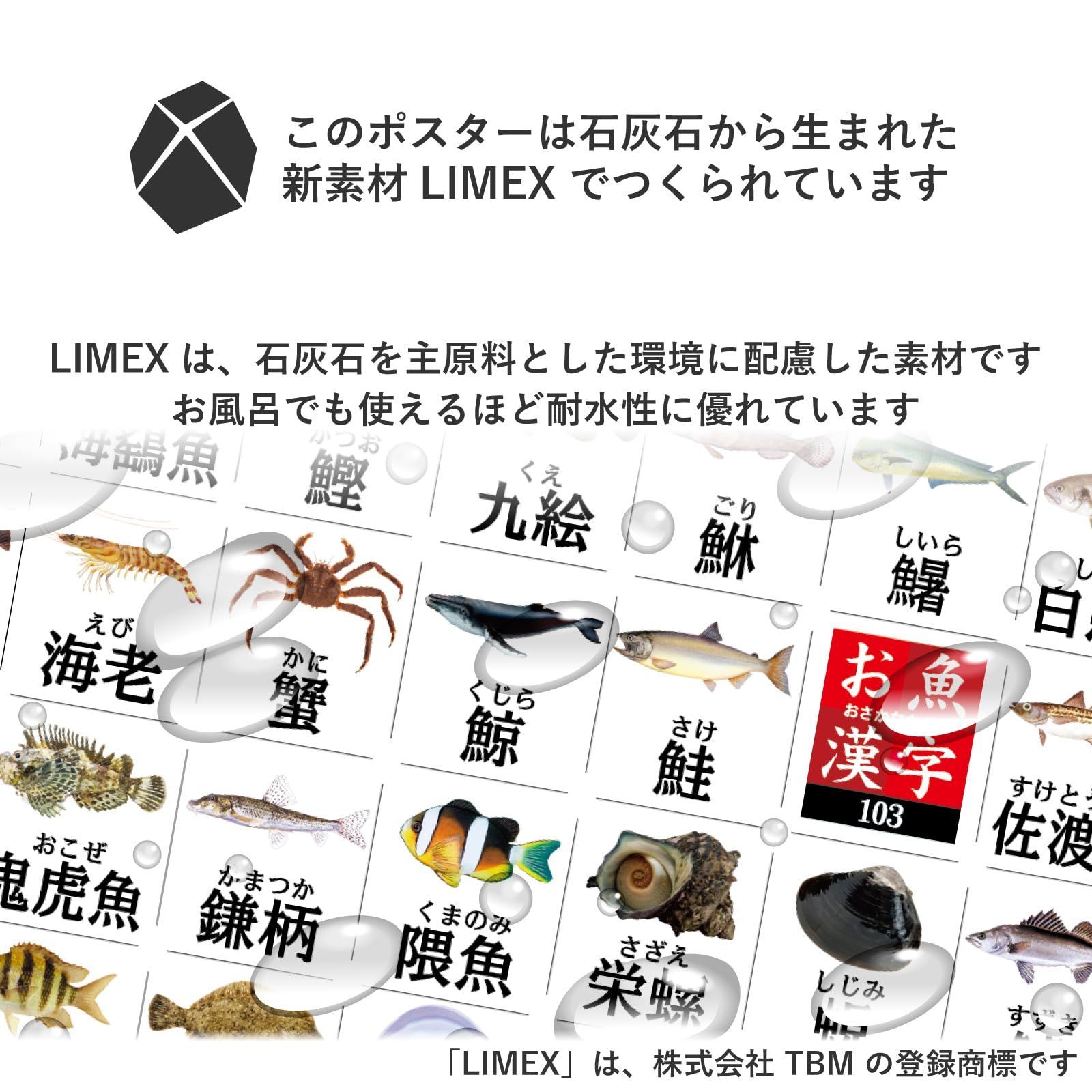 新品 ザ・アクセス ポスター お魚漢字大全 A1 動物 水族館