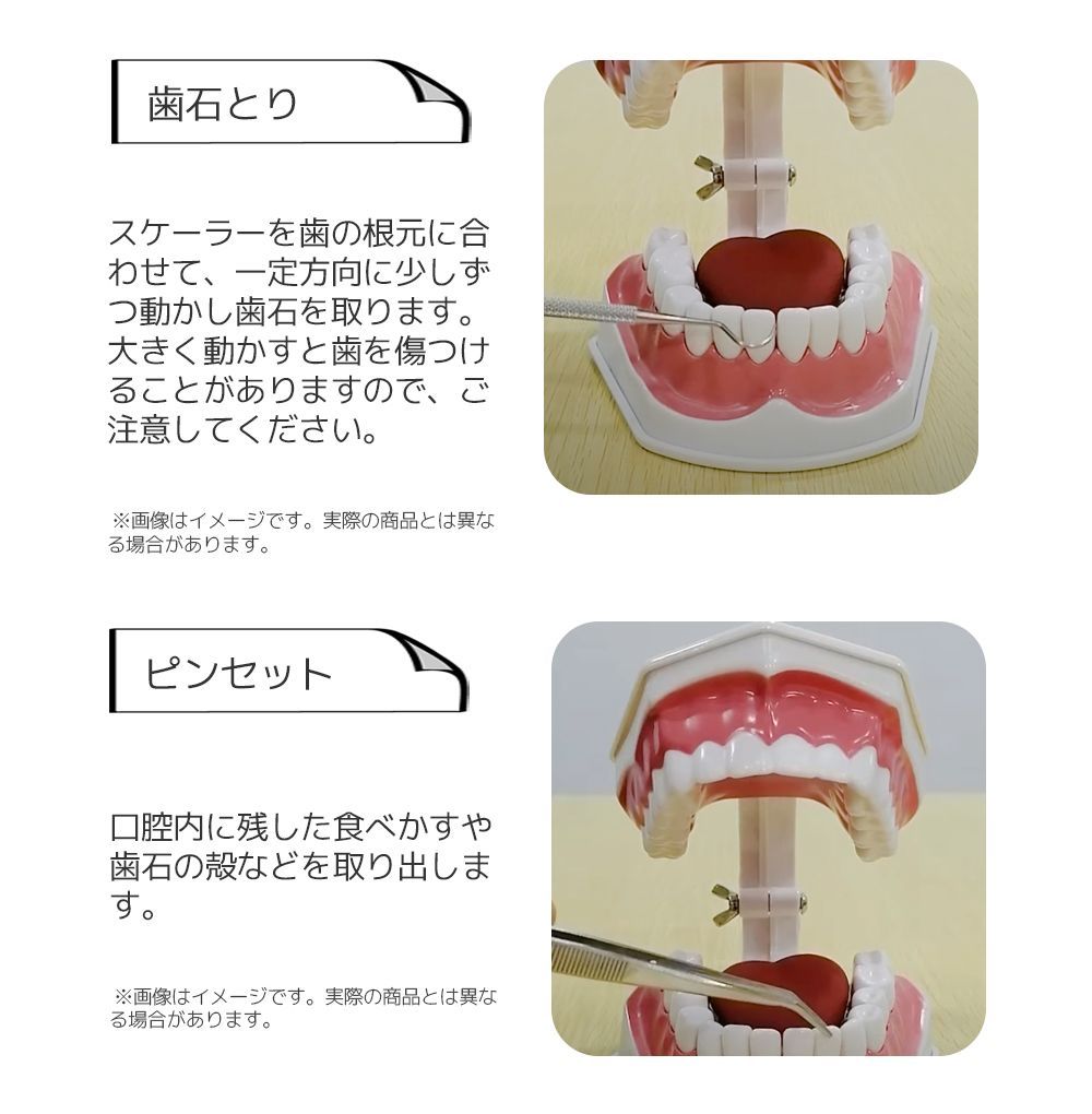 歯用ツール 歯石取り 五点セット器具 デンタルミラー スケーラー 歯垢