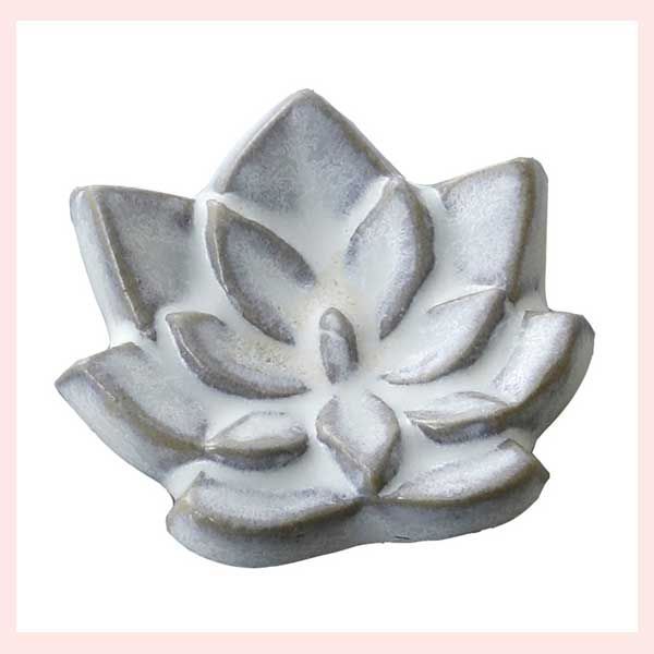 接ぎ木 3種 モミジ類 カエデ属 希少 ガーデニング 紅葉 接ぎ木 3種 モミジ類 カエデ属 希少 ガーデニング 紅葉 接ぎ木 3種