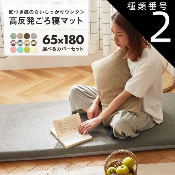 中古】 ハトの大研究 古代から人とともに生きてきた鳥 / 国松