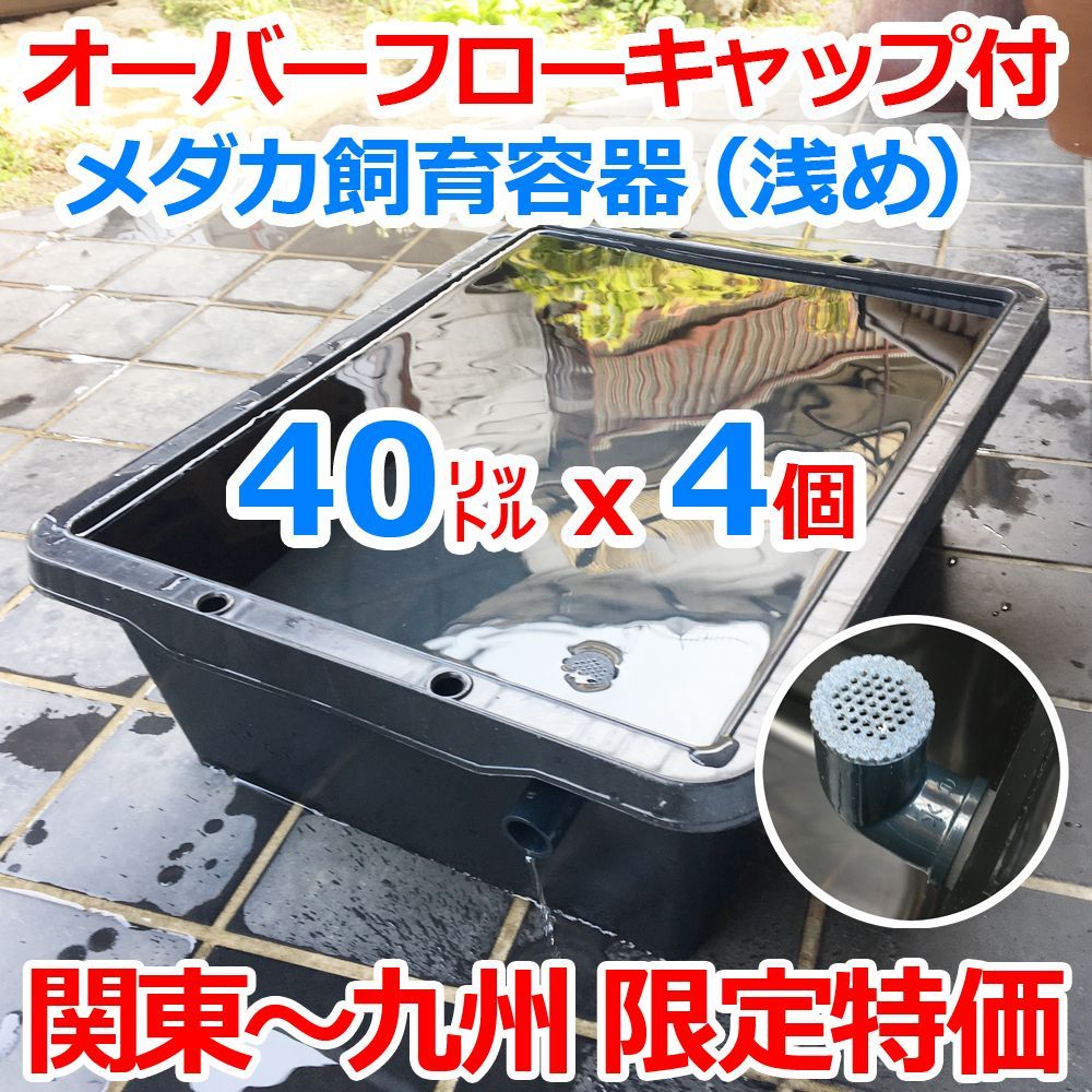 メダカ飼育ケース 40㍑黒x4個 オーバーフローキャップ付（関東～九州へ 