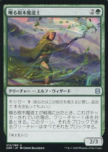 マジック：ザ・ギャザリング Bayou Bayou》[2ED] 土地R | 日本最大級 MTG通販サイト「晴れる屋」