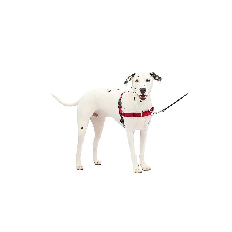 PetSafe イージーウォークハーネス ML レッド＆ブラック 0