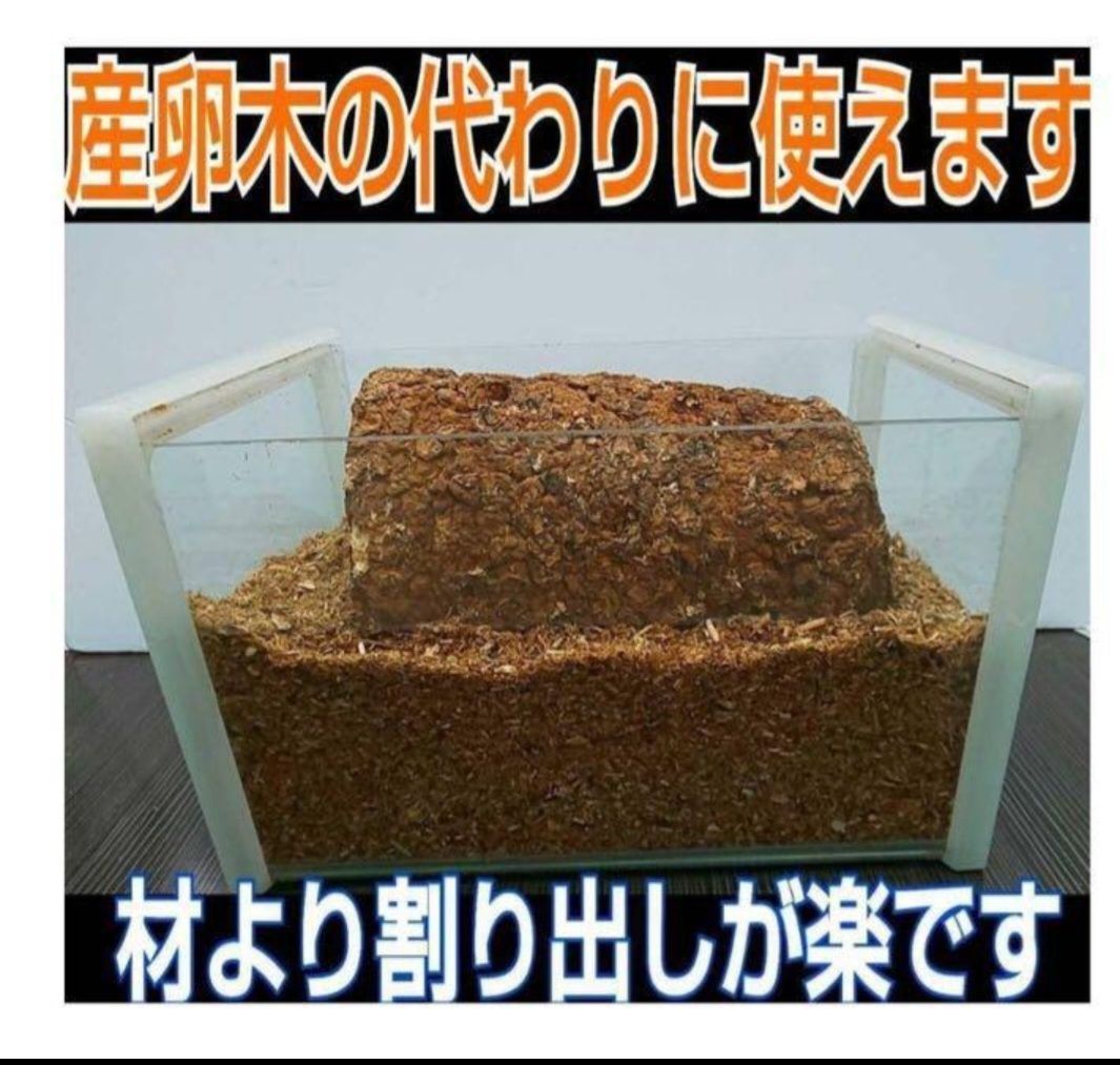 カブトムシ幼虫の栄養強化に！椎茸菌床3個☆マットに埋めるとモリモリ