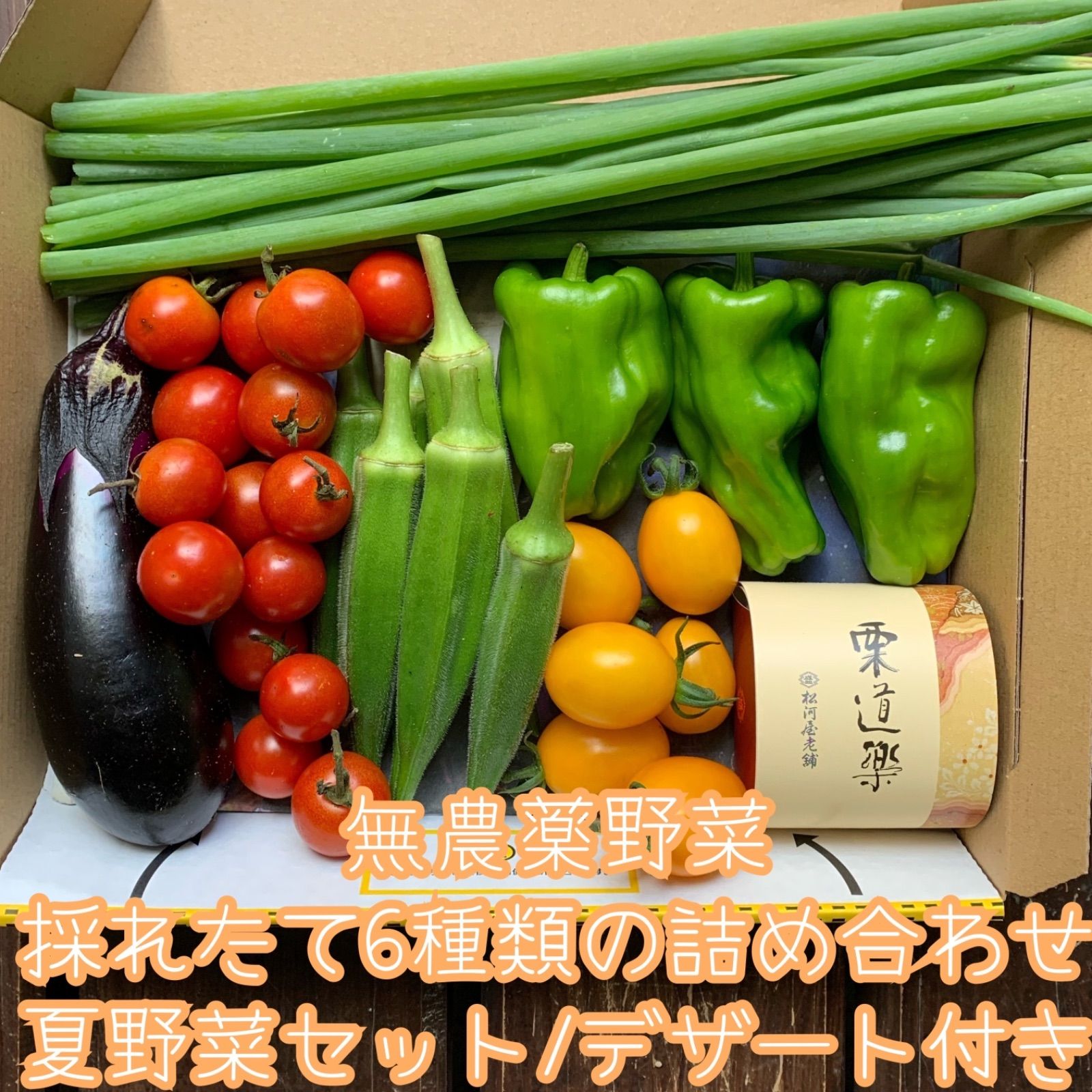 特別価格！採れたて農薬不使用野菜＊小カブ等3種類の詰め合せ＊野菜