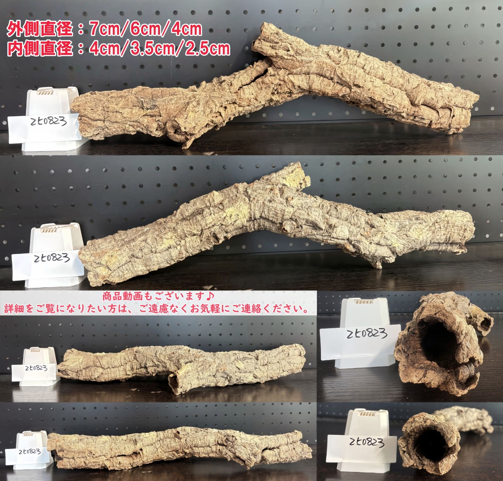 250807 ポルトガル産 キャノンコルク コルク樹皮 コルク板バージンコルク