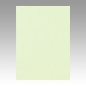 リンテック ニュー Ｒ 4 NCR 133 メロン