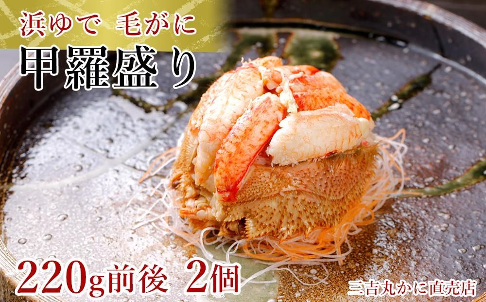 北海道産毛ガニ甲羅盛り2個（甲羅盛り時1個：220g前後：姿時