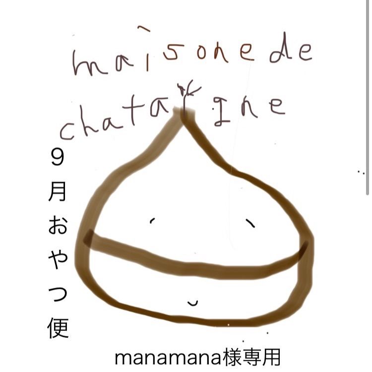 manamana様専用　おやつ便　シフォンケーキサンド　チーズケーキ　テリーヌ