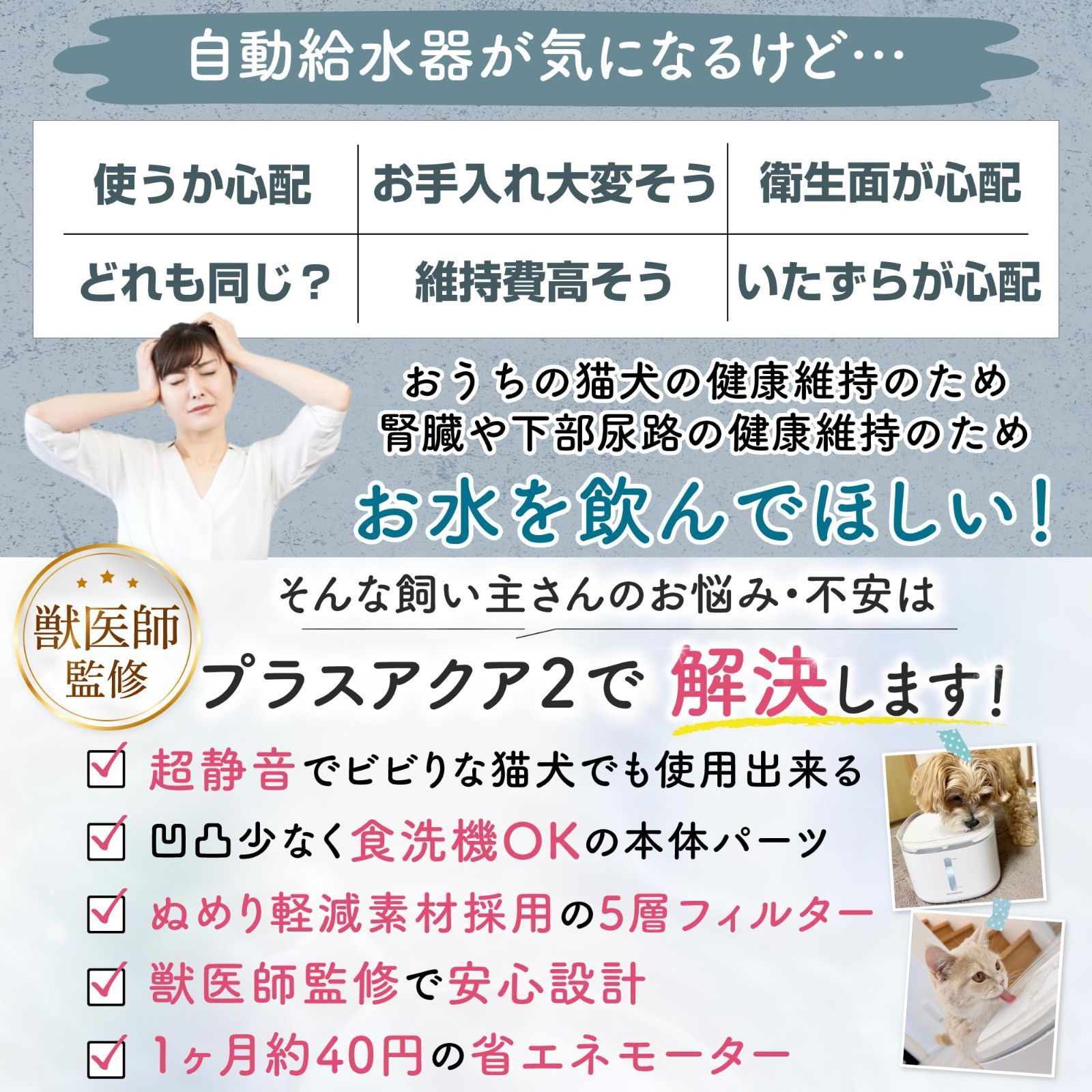 犬
