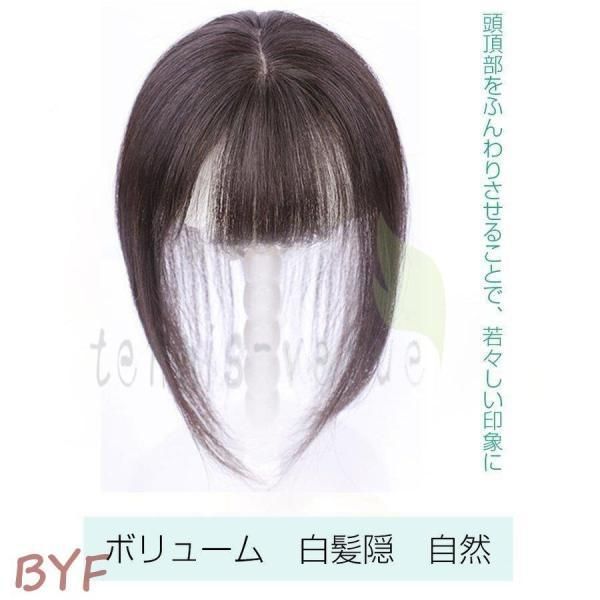 部分ウィッグ 人毛100% トップカバー 薄毛 白髪隠し 総手植え 自然 小