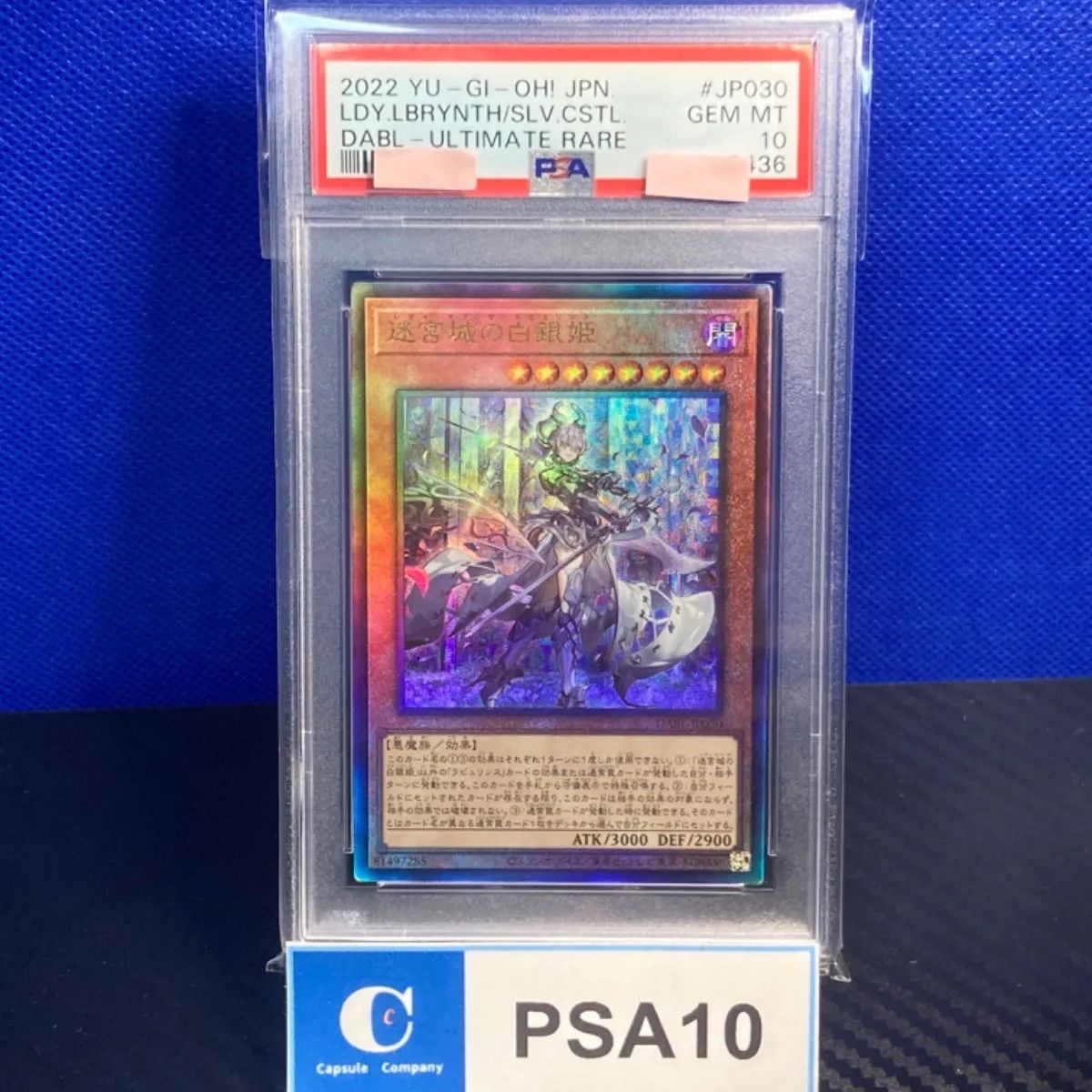 迷宮城の白銀姫 レリーフ PSA10 鑑定済み | www.carmenundmelanie.at