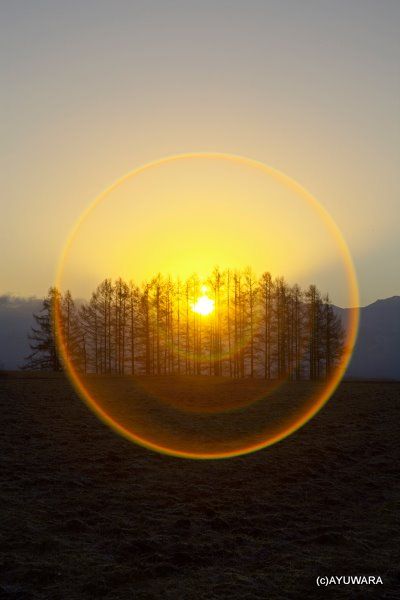  アートフォト 絵画 日の出フ ーによる日輪 高橋真澄 インテリア 額入り 額装込 風景画 油絵 ポスター アート アートパネル リビング 玄関 プレゼント モダン アートフレーム 飾る Mサイズ おしゃれ 壁掛け 絵 写真 その他