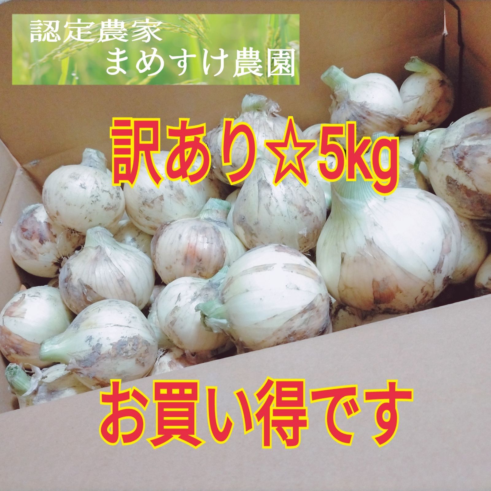 数量限定販売　再販　訳あり　5kg　佐賀県産　R4年度　新　玉ねぎ　早生品種　メルカリ