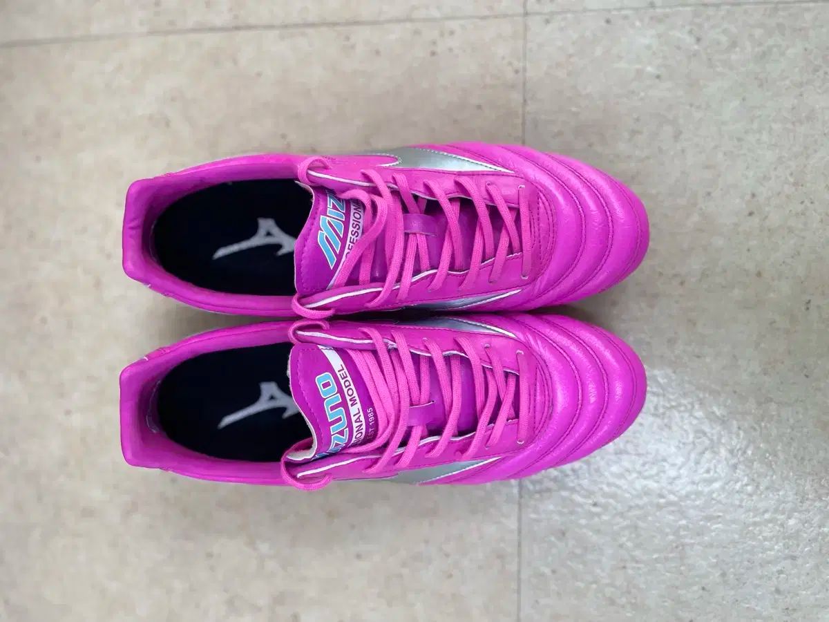 mizuno