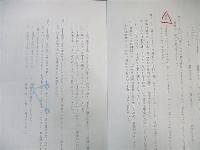 SAPIX 小6 サピックス SS特訓 国語 読解力講座 通年セット 【全14回分フルセット】 2021 050M2D SAPIX 小6 サピックス SS特訓 国語 読解力講座 通年セット 【全