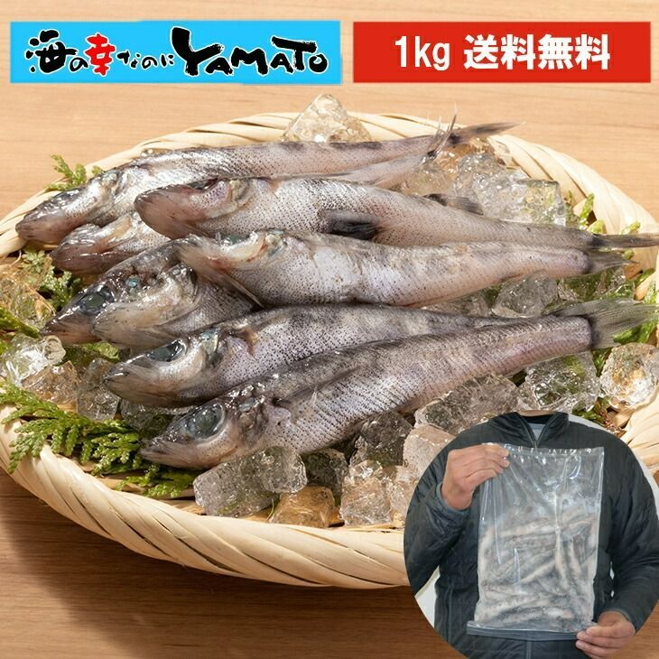 三陸石巻産 メヒカリ 1kg (35尾前後入) 石巻産 めひかり 目光 唐揚げ 天ぷら